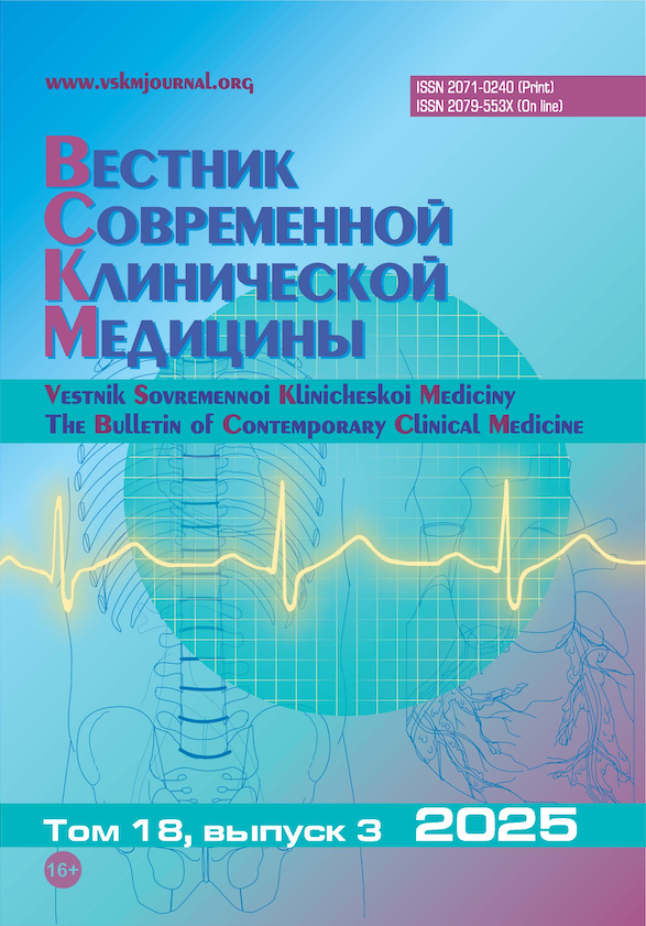 VSKM 2025 N 3